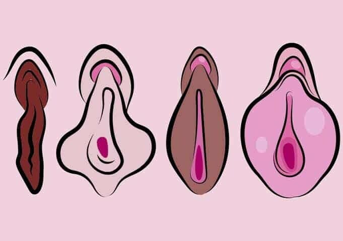 Did you know? Color of the labia determines sex life!